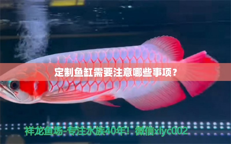 定制魚缸需要注意哪些事項？