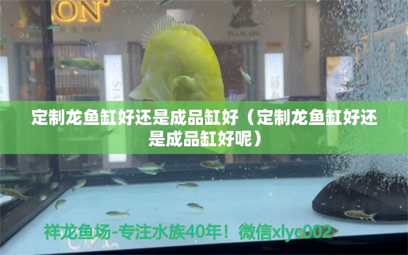 定制龍魚缸好還是成品缸好（定制龍魚缸好還是成品缸好呢） 祥龍水族醫(yī)院