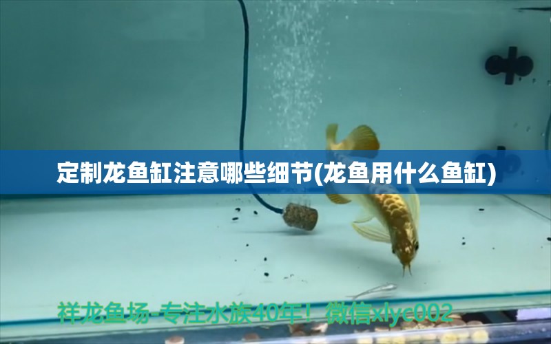 定制龍魚缸注意哪些細(xì)節(jié)(龍魚用什么魚缸) 虎斑恐龍魚