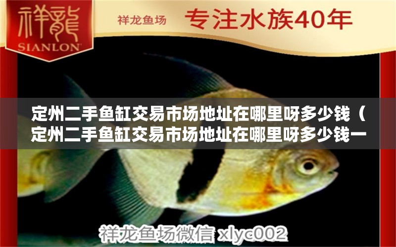 定州二手魚缸交易市場(chǎng)地址在哪里呀多少錢（定州二手魚缸交易市場(chǎng)地址在哪里呀多少錢一臺(tái)） 造景/裝飾