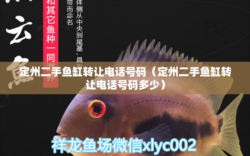 定州二手魚(yú)缸轉(zhuǎn)讓電話號(hào)碼（定州二手魚(yú)缸轉(zhuǎn)讓電話號(hào)碼多少） 七紋巨鯉魚(yú)