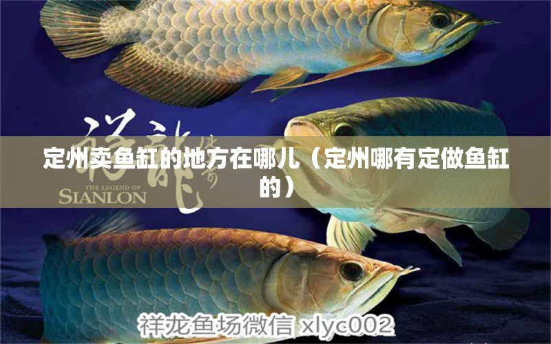 定州賣魚缸的地方在哪兒（定州哪有定做魚缸的）