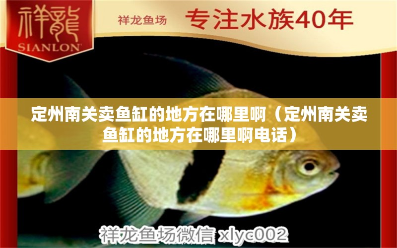 定州南關(guān)賣魚缸的地方在哪里?。ǘㄖ菽详P(guān)賣魚缸的地方在哪里啊電話）