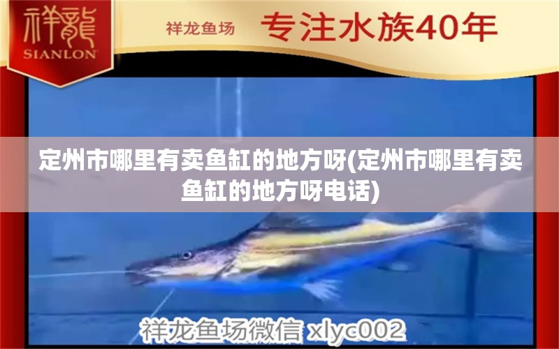 定州市哪里有賣(mài)魚(yú)缸的地方呀(定州市哪里有賣(mài)魚(yú)缸的地方呀電話) 白子銀版魚(yú)苗