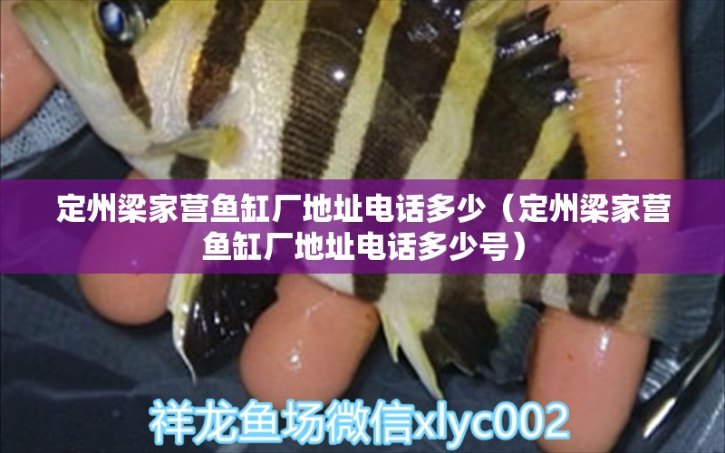 定州梁家營(yíng)魚缸廠地址電話多少（定州梁家營(yíng)魚缸廠地址電話多少號(hào)）