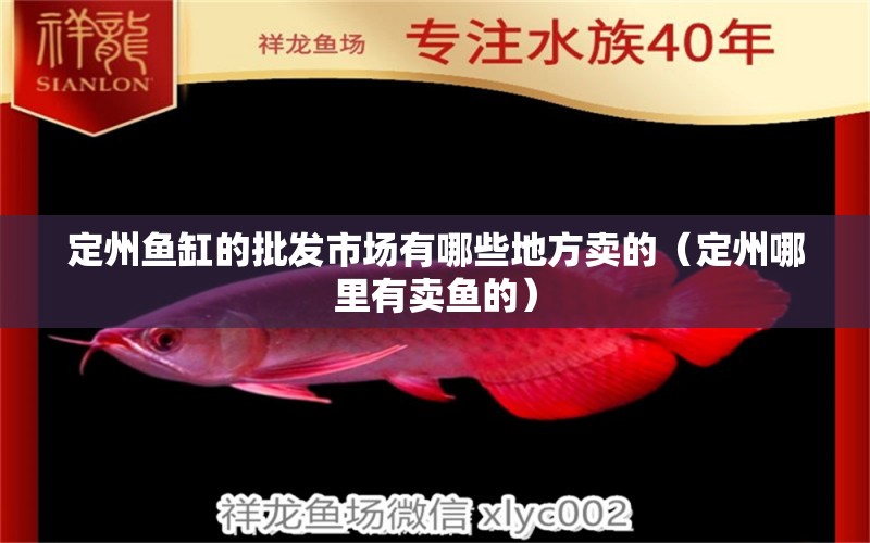 定州魚缸的批發(fā)市場有哪些地方賣的（定州哪里有賣魚的） 祥龍赫舞紅龍魚