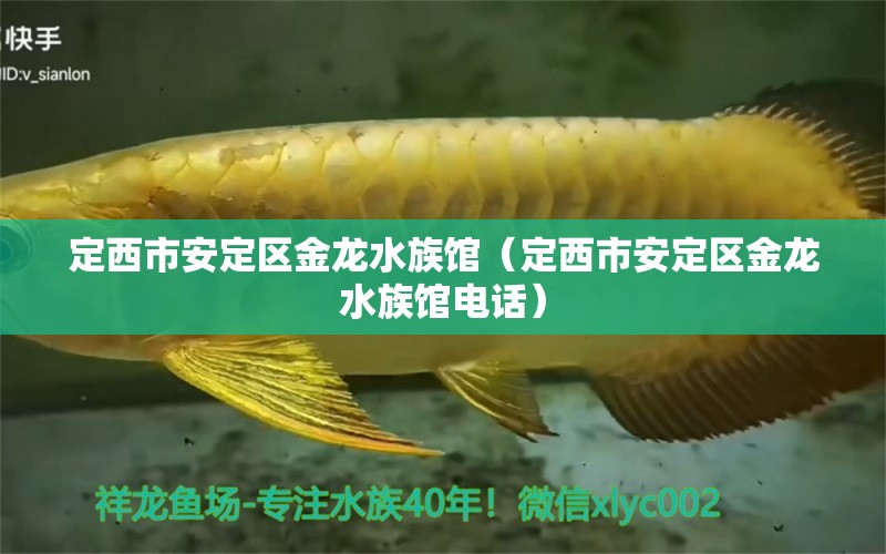 定西市安定區(qū)金龍水族館（定西市安定區(qū)金龍水族館電話） 全國水族館企業(yè)名錄