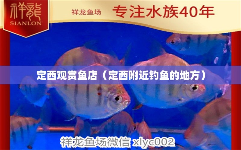 定西觀賞魚(yú)店（定西附近釣魚(yú)的地方）