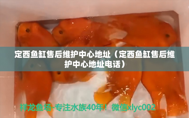 定西魚缸售后維護(hù)中心地址（定西魚缸售后維護(hù)中心地址電話）