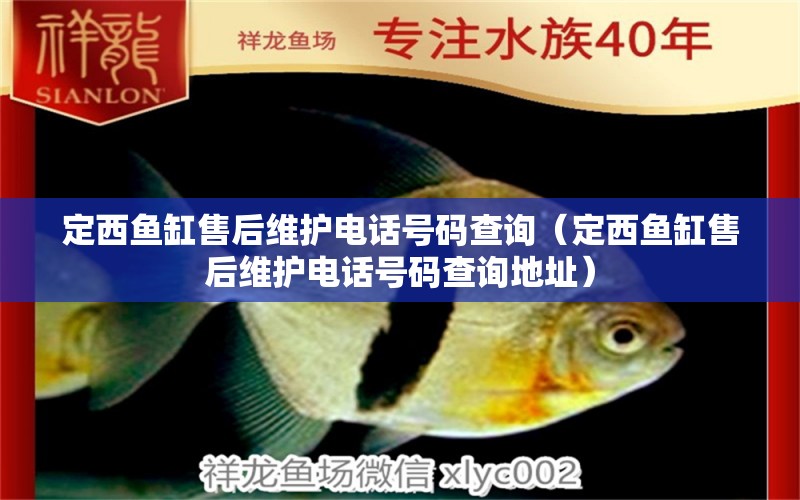 定西魚缸售后維護(hù)電話號(hào)碼查詢（定西魚缸售后維護(hù)電話號(hào)碼查詢地址）