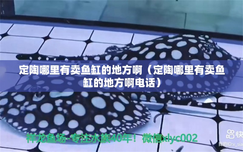 定陶哪里有賣魚缸的地方?。ǘㄌ漳睦镉匈u魚缸的地方啊電話） 黑桃A魚苗