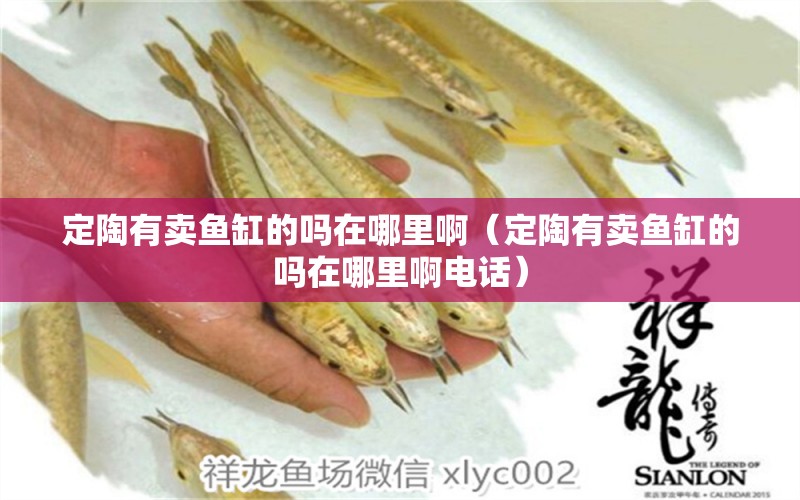 定陶有賣魚缸的嗎在哪里啊（定陶有賣魚缸的嗎在哪里啊電話） 祥龍水族醫(yī)院