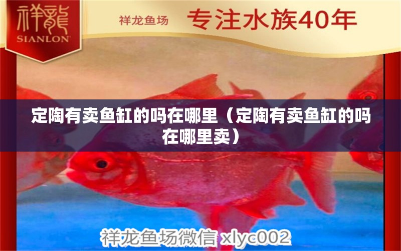 定陶有賣魚缸的嗎在哪里（定陶有賣魚缸的嗎在哪里賣） 祥龍水族醫(yī)院