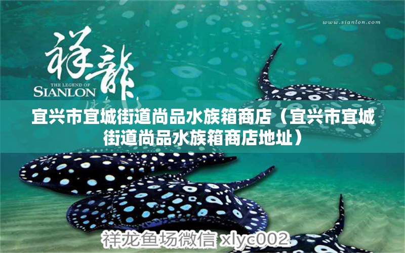 宜興市宜城街道尚品水族箱商店（宜興市宜城街道尚品水族箱商店地址） 魚缸/水族箱