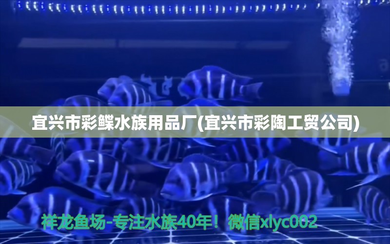 宜興市彩鰈水族用品廠(宜興市彩陶工貿(mào)公司) 水族用品