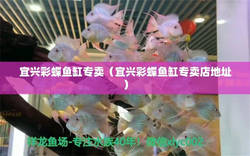 宜興彩蝶魚缸專賣（宜興彩蝶魚缸專賣店地址）