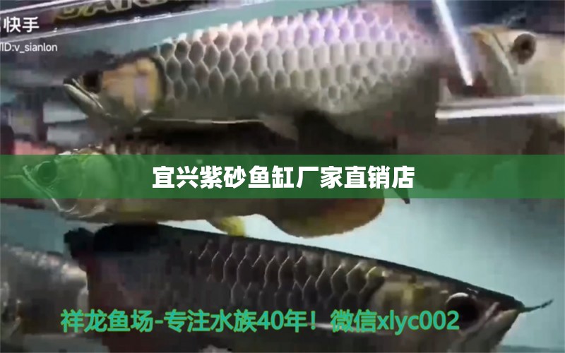 宜興紫砂魚缸廠家直銷店