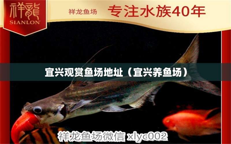 宜興觀賞魚場地址（宜興養(yǎng)魚場）