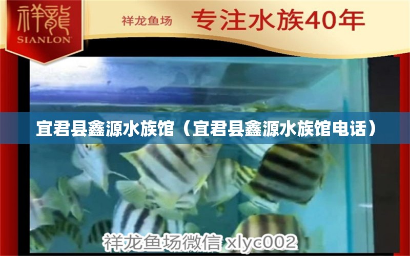 宜君縣鑫源水族館（宜君縣鑫源水族館電話） 全國(guó)水族館企業(yè)名錄