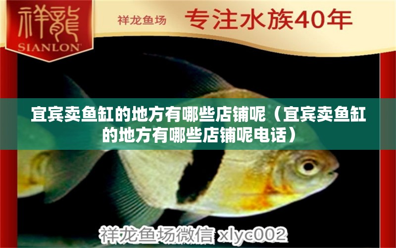 宜賓賣魚缸的地方有哪些店鋪呢（宜賓賣魚缸的地方有哪些店鋪呢電話） 觀賞魚水族批發(fā)市場