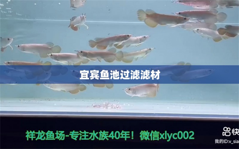 宜賓魚池過濾濾材 廣州水族器材濾材批發(fā)市場(chǎng)