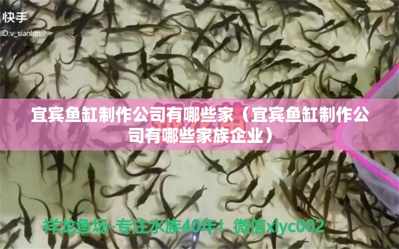 宜賓魚缸制作公司有哪些家（宜賓魚缸制作公司有哪些家族企業(yè)） 祥龍水族醫(yī)院