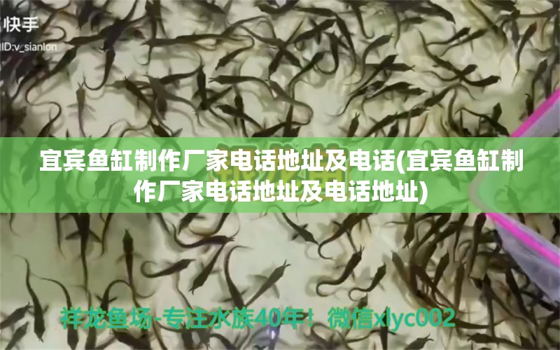 宜賓魚缸制作廠家電話地址及電話(宜賓魚缸制作廠家電話地址及電話地址) 細線銀板魚苗