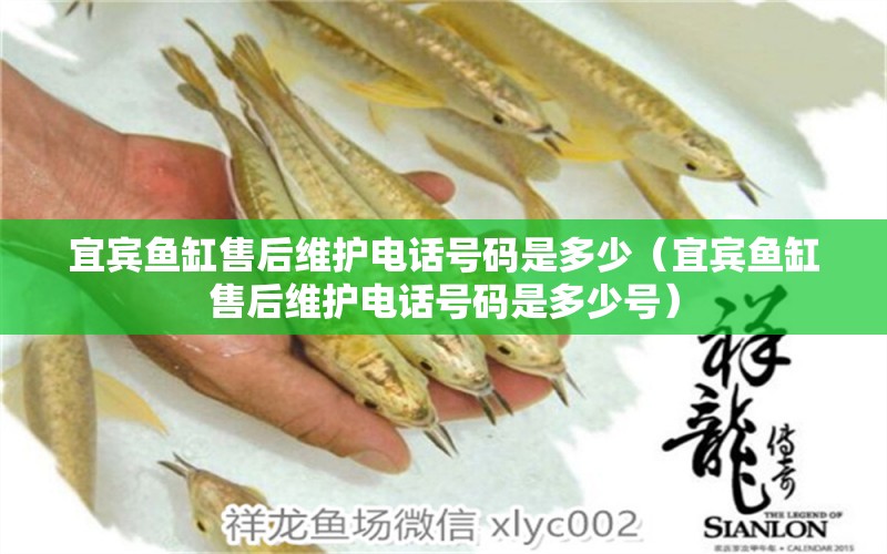 宜賓魚(yú)缸售后維護(hù)電話號(hào)碼是多少（宜賓魚(yú)缸售后維護(hù)電話號(hào)碼是多少號(hào)） 其他品牌魚(yú)缸