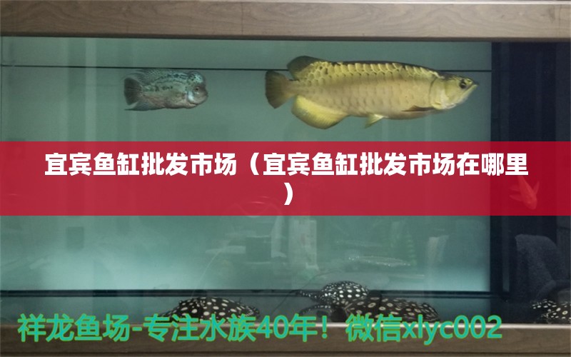 宜賓魚缸批發(fā)市場（宜賓魚缸批發(fā)市場在哪里）