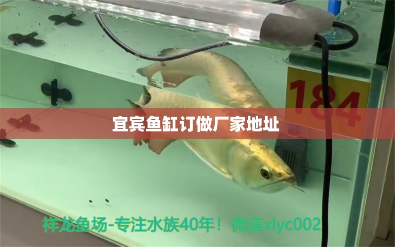 宜賓魚缸訂做廠家地址 