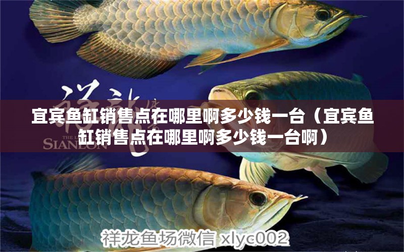 宜賓魚缸銷售點(diǎn)在哪里啊多少錢一臺(tái)（宜賓魚缸銷售點(diǎn)在哪里啊多少錢一臺(tái)?。? title=