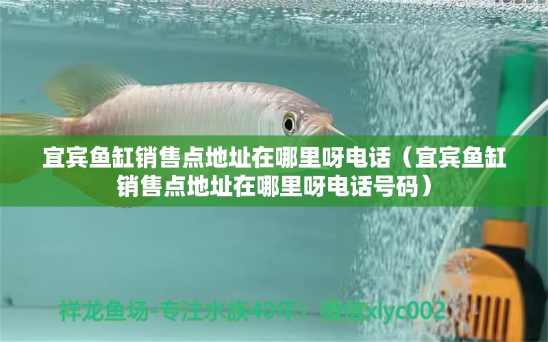 宜賓魚缸銷售點(diǎn)地址在哪里呀電話（宜賓魚缸銷售點(diǎn)地址在哪里呀電話號(hào)碼）