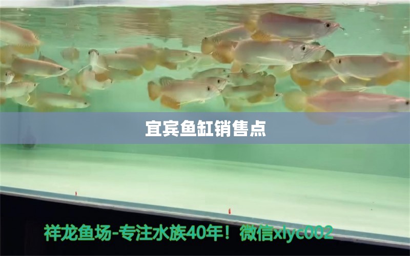 宜賓魚缸銷售點