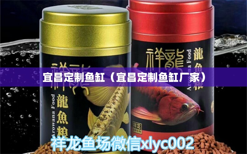 宜昌定制魚(yú)缸（宜昌定制魚(yú)缸廠家） 其他品牌魚(yú)缸