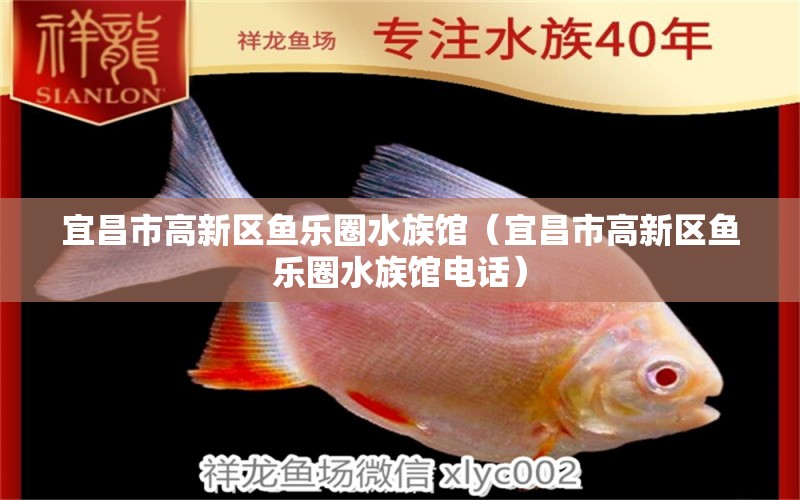 宜昌市高新區(qū)魚樂(lè)圈水族館（宜昌市高新區(qū)魚樂(lè)圈水族館電話）