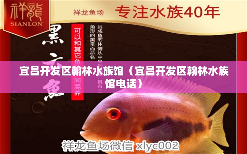 宜昌開發(fā)區(qū)翰林水族館（宜昌開發(fā)區(qū)翰林水族館電話） 全國(guó)水族館企業(yè)名錄