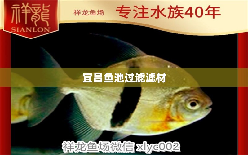 宜昌魚(yú)池過(guò)濾濾材 廣州水族器材濾材批發(fā)市場(chǎng)