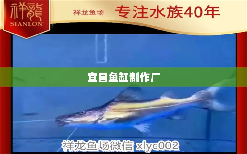 宜昌魚缸制作廠