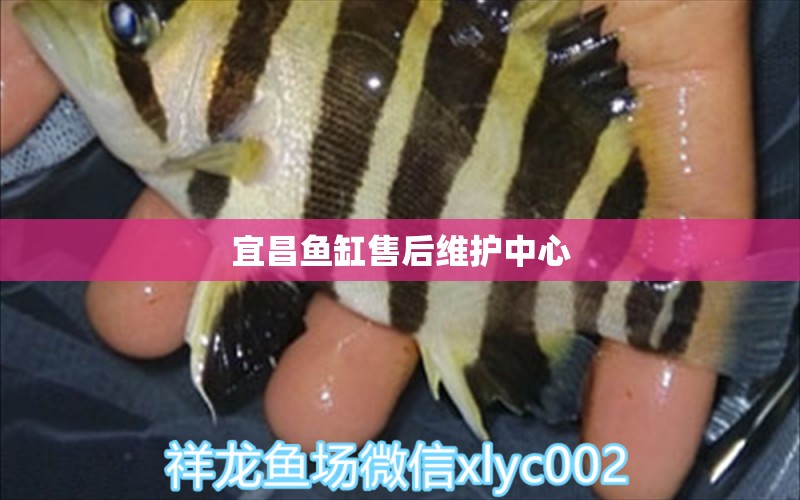 宜昌魚(yú)缸售后維護(hù)中心 其他品牌魚(yú)缸