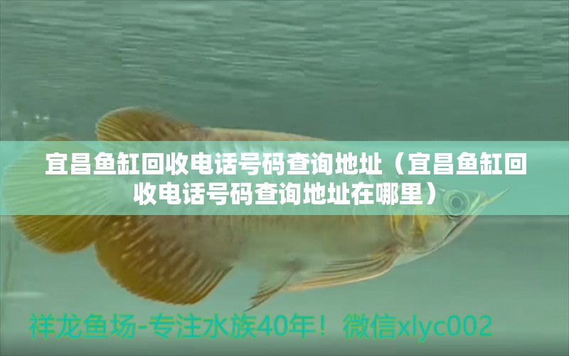 宜昌魚缸回收電話號碼查詢地址（宜昌魚缸回收電話號碼查詢地址在哪里）