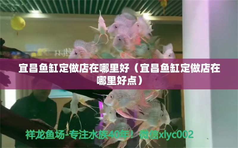 宜昌魚缸定做店在哪里好（宜昌魚缸定做店在哪里好點(diǎn)） 祥龍水族醫(yī)院