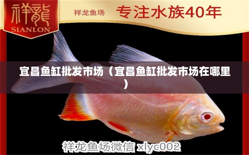 宜昌魚缸批發(fā)市場(chǎng)（宜昌魚缸批發(fā)市場(chǎng)在哪里）