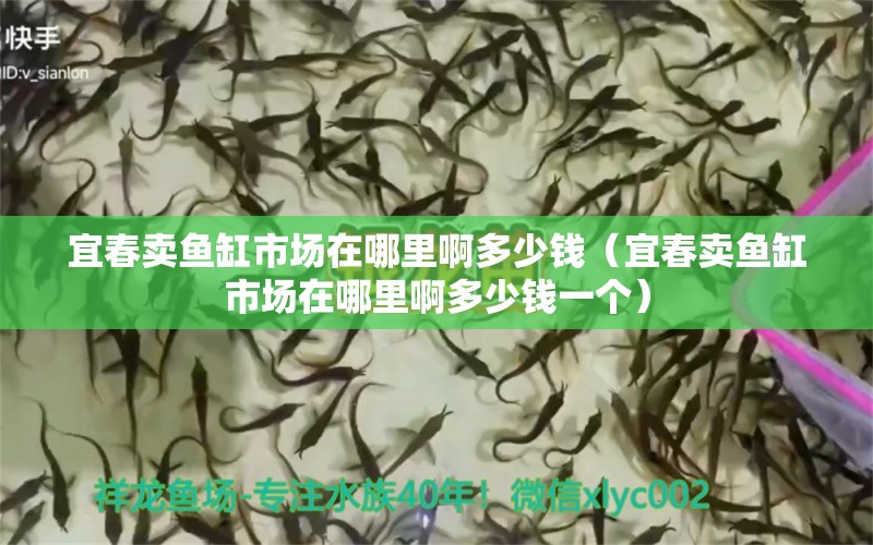 宜春賣魚缸市場在哪里啊多少錢（宜春賣魚缸市場在哪里啊多少錢一個(gè)） 水族用品