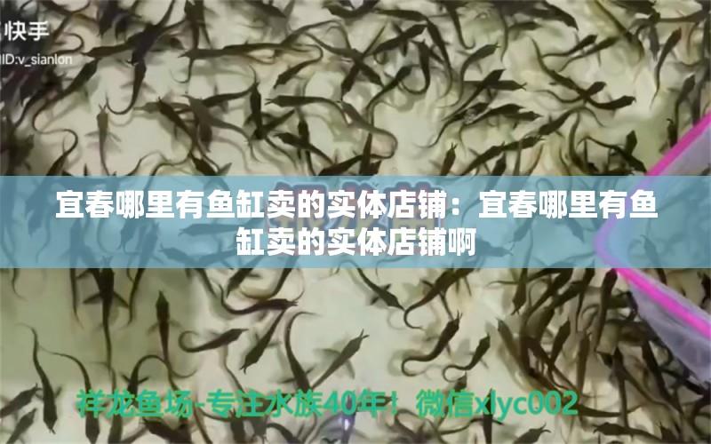 宜春哪里有魚缸賣的實體店鋪：宜春哪里有魚缸賣的實體店鋪啊