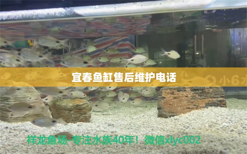 宜春魚缸售后維護電話 其他品牌魚缸