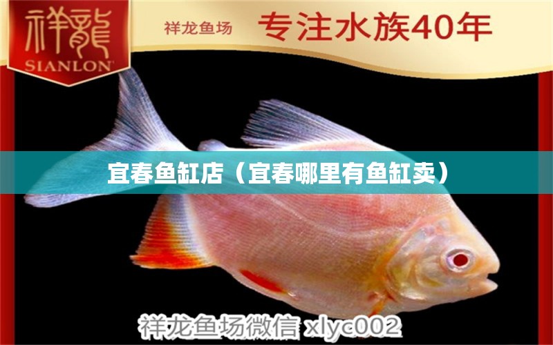 宜春魚缸店（宜春哪里有魚缸賣） 祥龍水族醫(yī)院