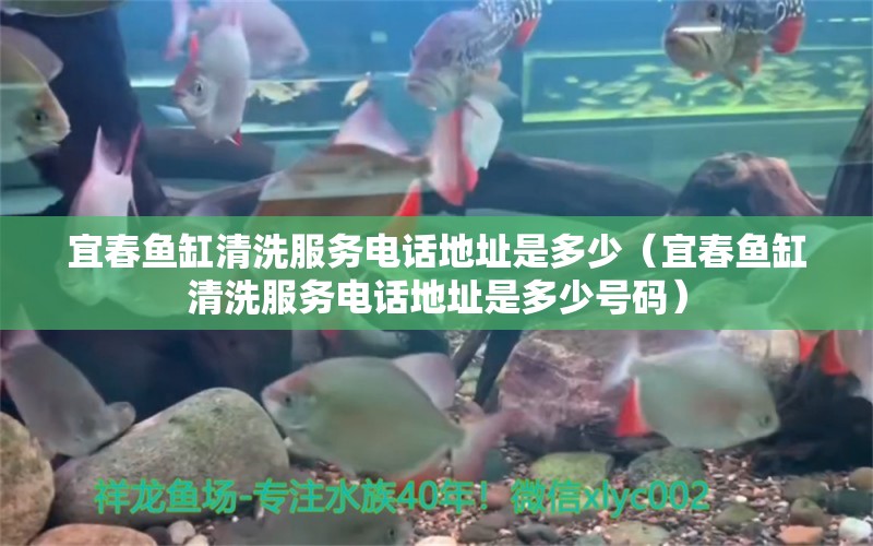 宜春魚缸清洗服務(wù)電話地址是多少（宜春魚缸清洗服務(wù)電話地址是多少號(hào)碼） 博特水族