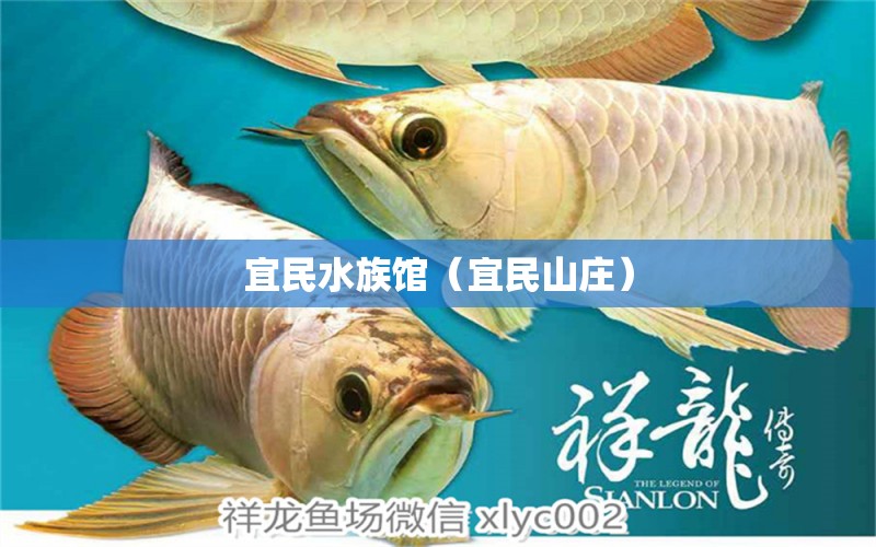 宜民水族館（宜民山莊）