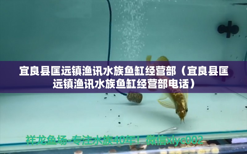 宜良縣匡遠鎮(zhèn)漁訊水族魚缸經(jīng)營部（宜良縣匡遠鎮(zhèn)漁訊水族魚缸經(jīng)營部電話） 全國水族館企業(yè)名錄