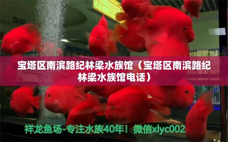 寶塔區(qū)南濱路紀林梁水族館（寶塔區(qū)南濱路紀林梁水族館電話） 全國水族館企業(yè)名錄 第1張